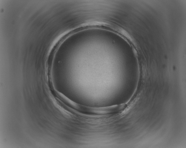 X0000070411124200606091144