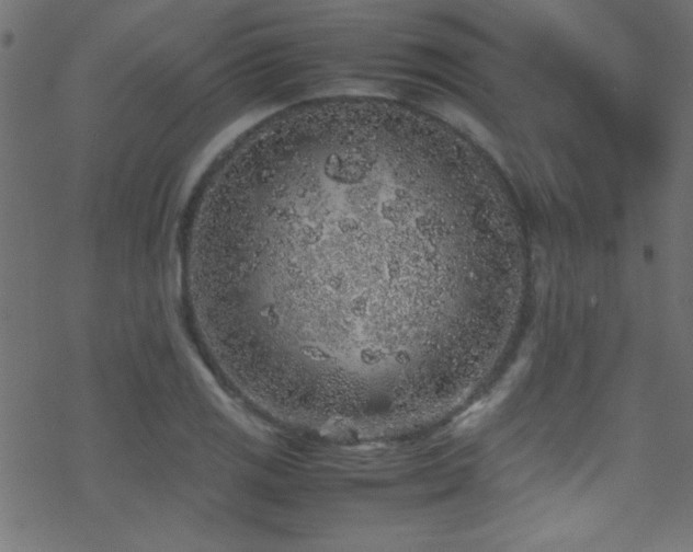 X0000070411125200606091144