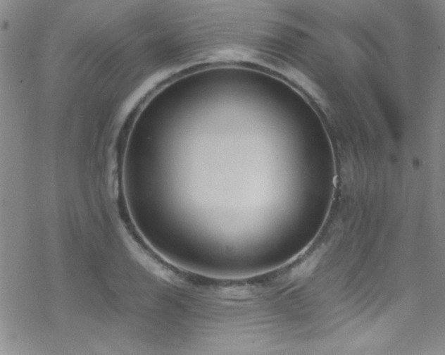 X0000070411126200606091144