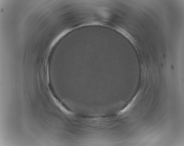 X0000070411127200606091144