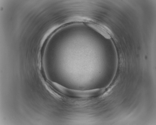 X0000070411128200606091144