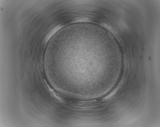 X0000070411129200606091144