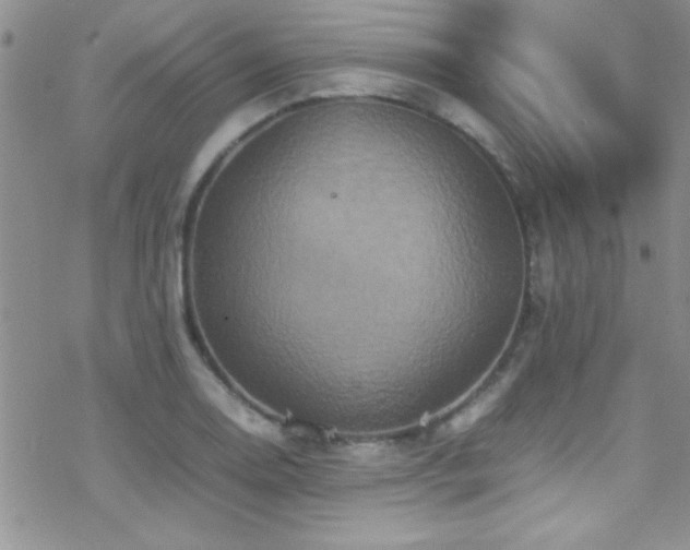 X0000070411130200606091144