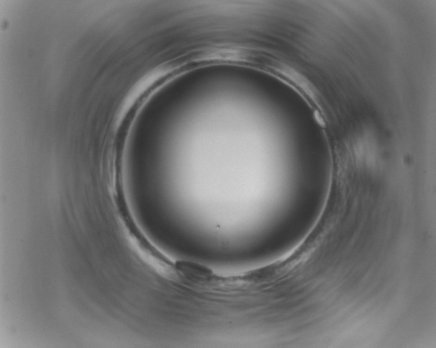 X0000070411131200606091144