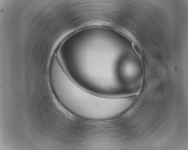 X0000070411132200606091144