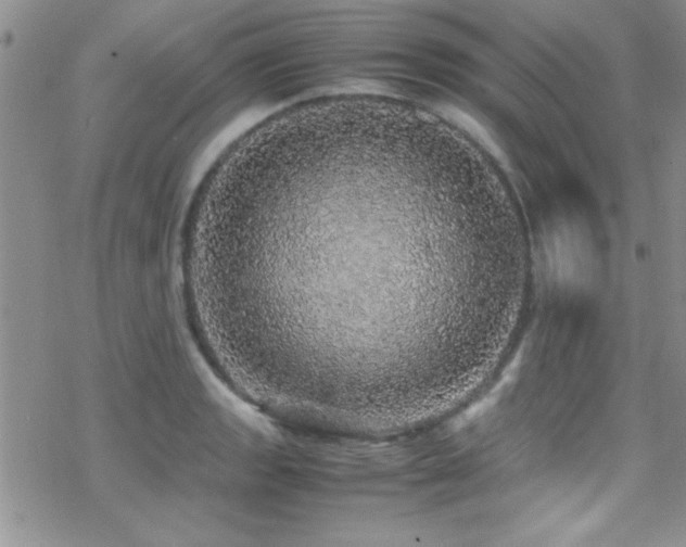 X0000070411133200606091144