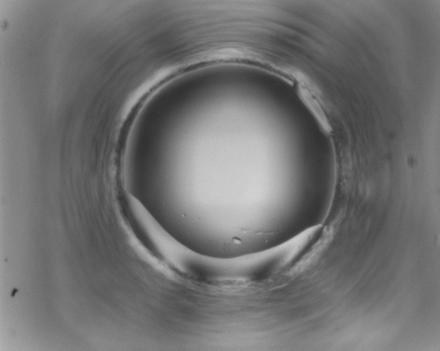 X0000070411134200606091144