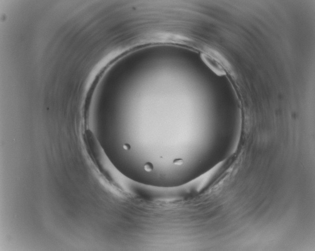 X0000070411136200606091144