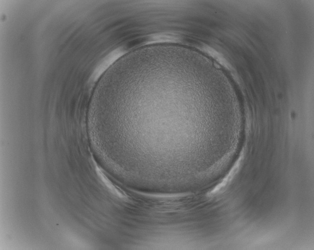 X0000070411137200606091144