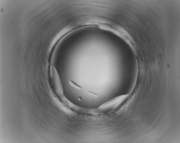 X0000070411138200606091144