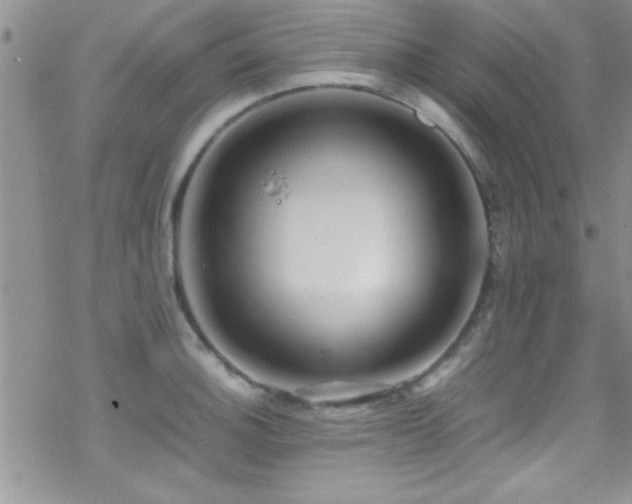 X0000070411140200606091145