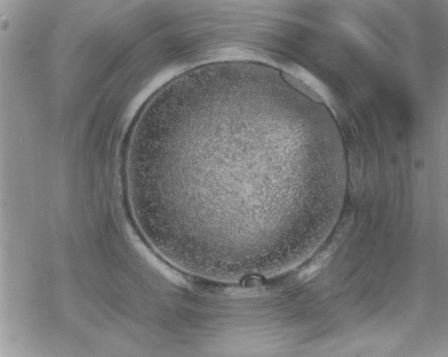 X0000070411142200606091145