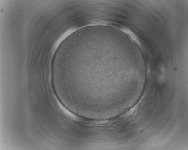 X0000070411143200606091145