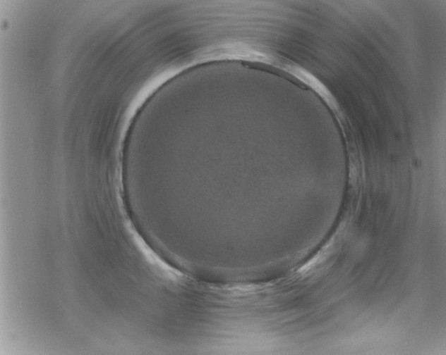 X0000070411144200606091145