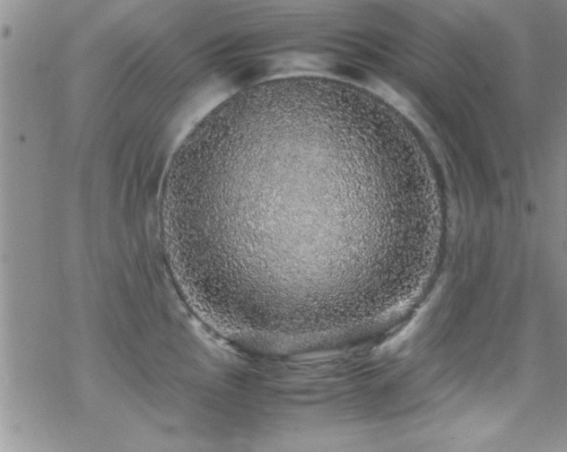 X0000070411145200606091145