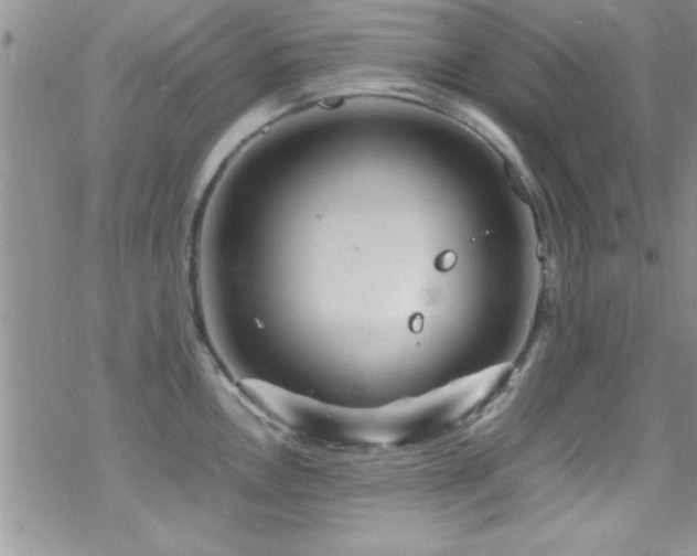 X0000070411146200606091145