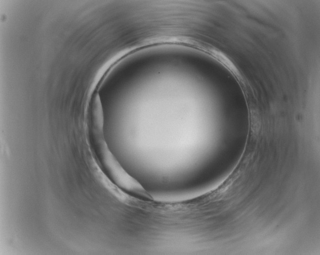 X0000070411148200606091145