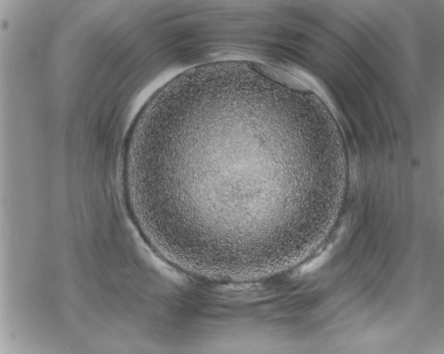 X0000070411149200606091145