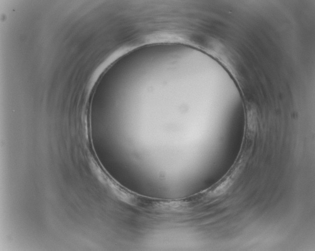 X0000070411150200606091145