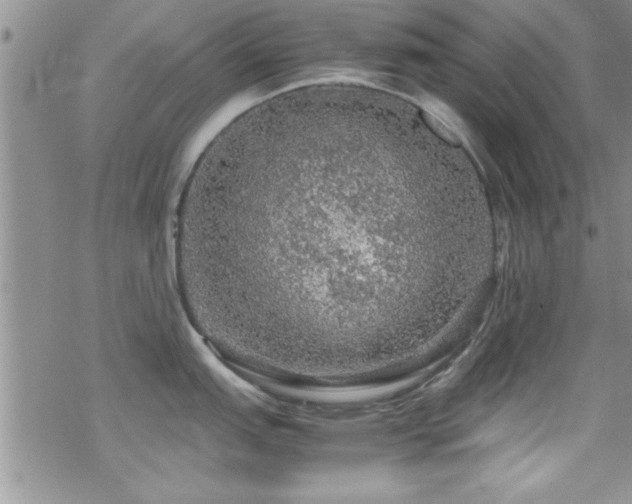 X0000070411151200606091145