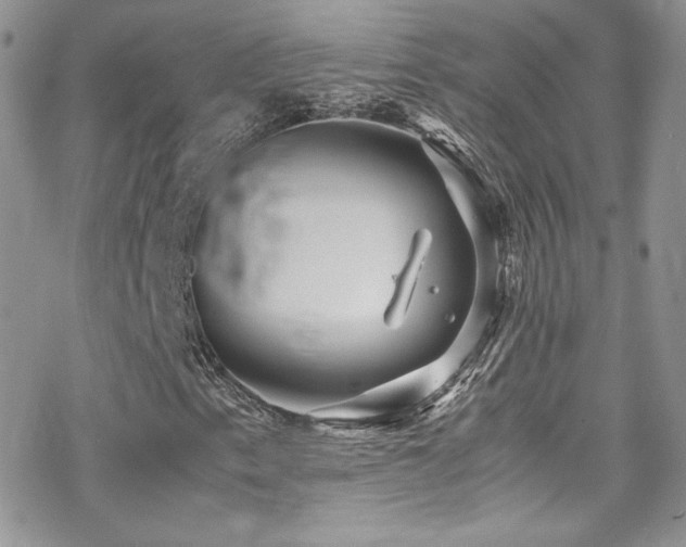 X0000070411153200606091144