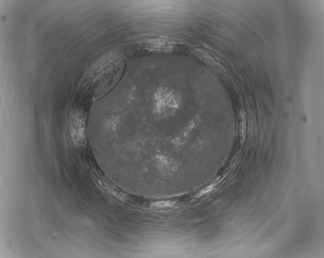 X0000070411154200606091144