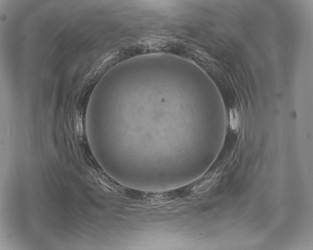 X0000070411155200606091144