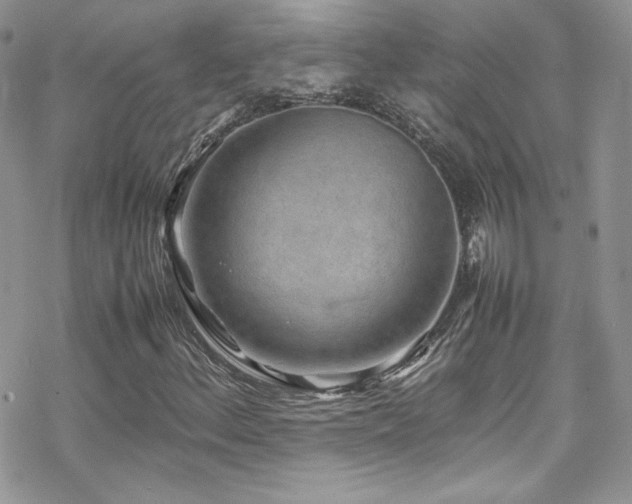 X0000070411156200606091144