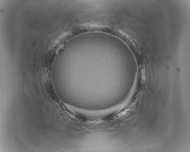 X0000070411157200606091144