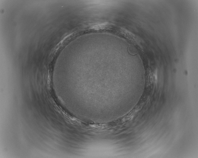 X0000070411158200606091144