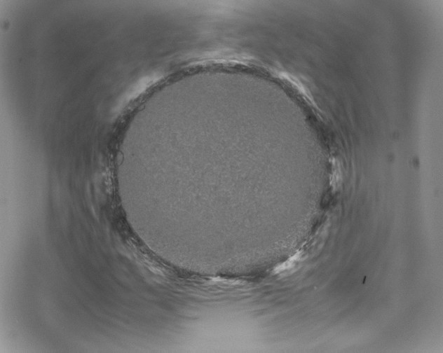 X0000070411159200606091144