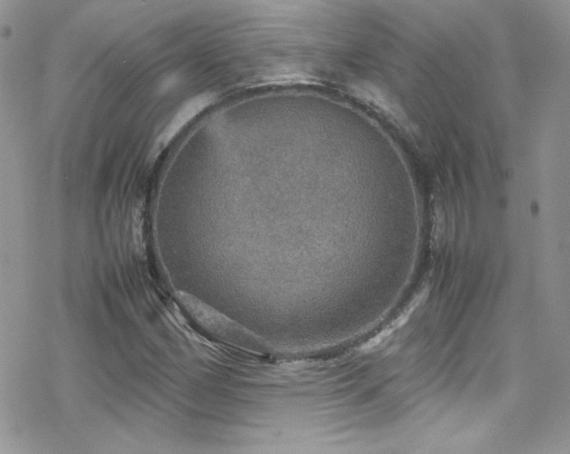 X0000070411162200606091144