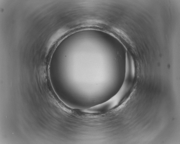 X0000070411164200606091144