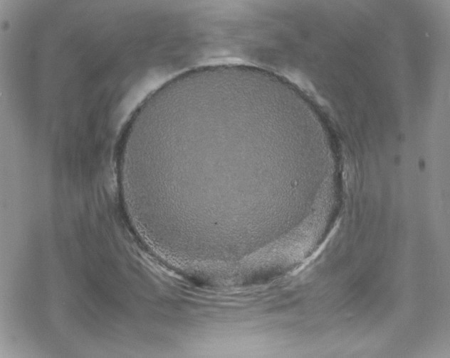 X0000070411167200606091144