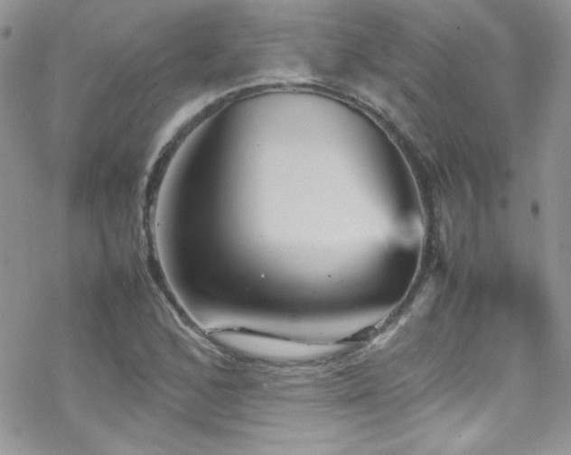 X0000070411168200606091144