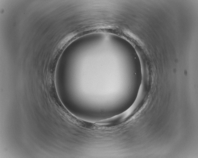 X0000070411169200606091144