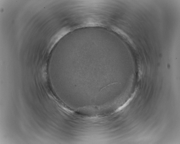 X0000070411170200606091144