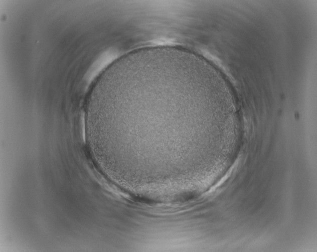 X0000070411171200606091144