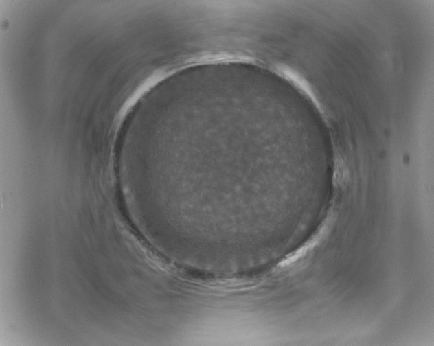 X0000070411173200606091144