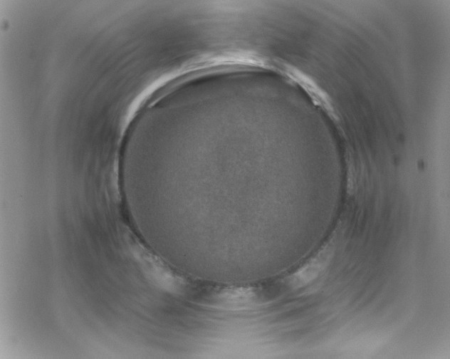 X0000070411174200606091144