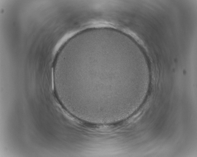 X0000070411175200606091144