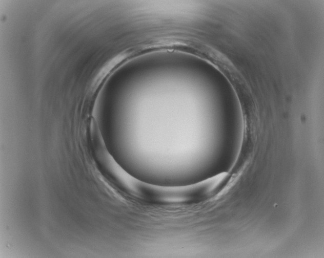 X0000070411177200606091144