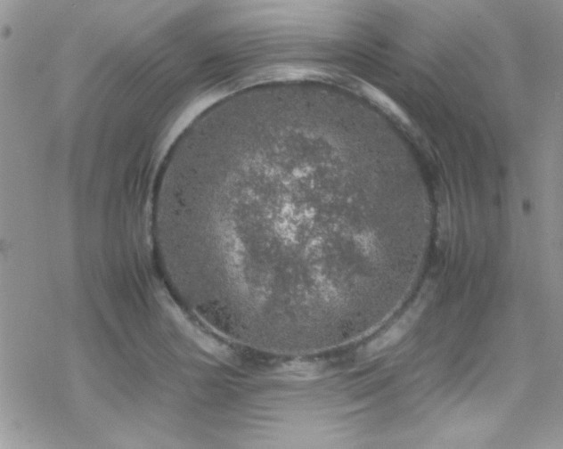 X0000070411178200606091144