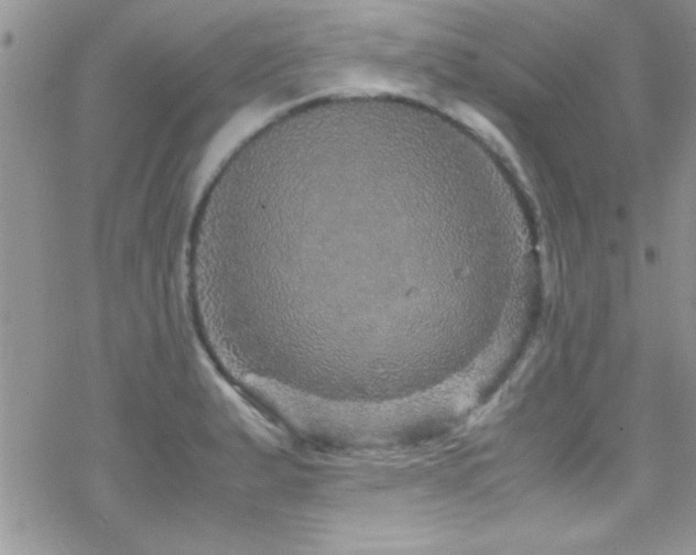 X0000070411183200606091143