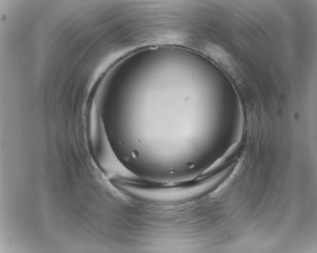 X0000070411184200606091143