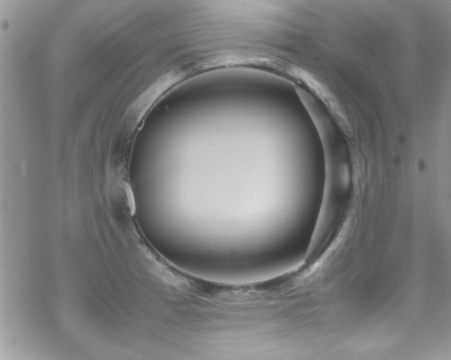 X0000070411185200606091143