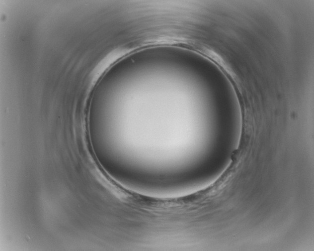 X0000070411187200606091143