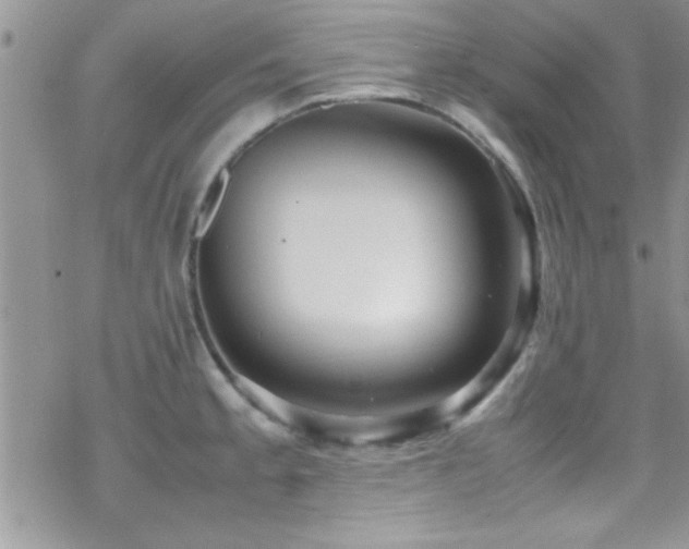 X0000070411189200606091143