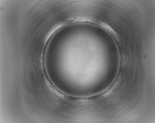 X0000070411190200606091143