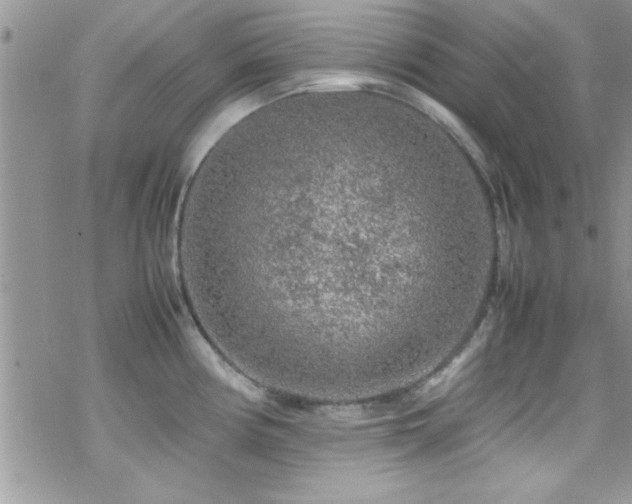 X0000070411194200606091143